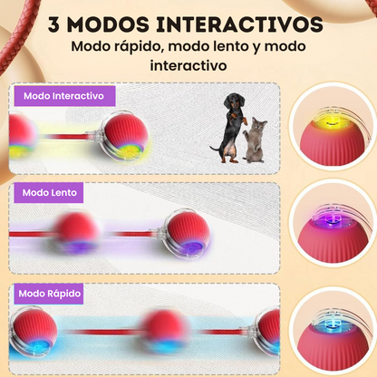 🚀 La Pelota que Persigue a Tu Mascota – ¡Activa su Instinto Natural de Juego!