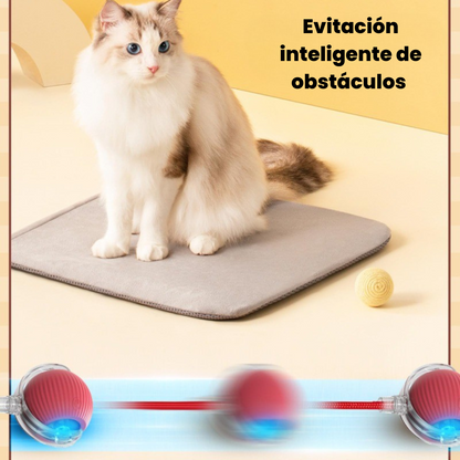 🚀 La Pelota que Persigue a Tu Mascota – ¡Activa su Instinto Natural de Juego!