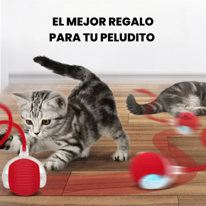 🚀 La Pelota que Persigue a Tu Mascota – ¡Activa su Instinto Natural de Juego!